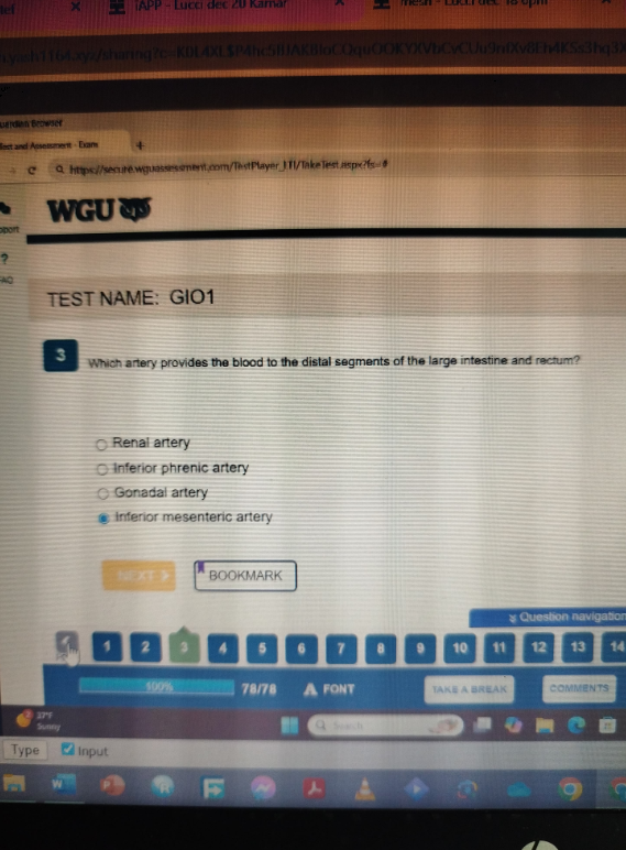 WGU D313 Anatomy & Physiology II with Lab OA1